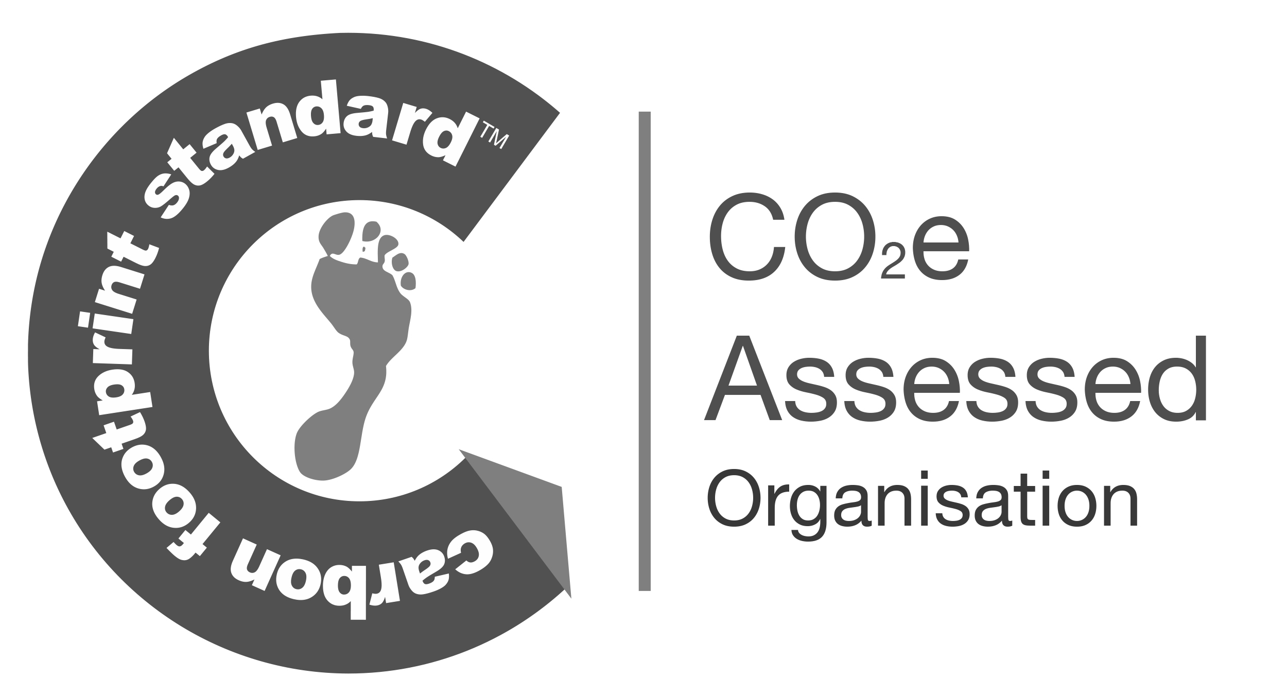 Carbon Footprint Standard Icon